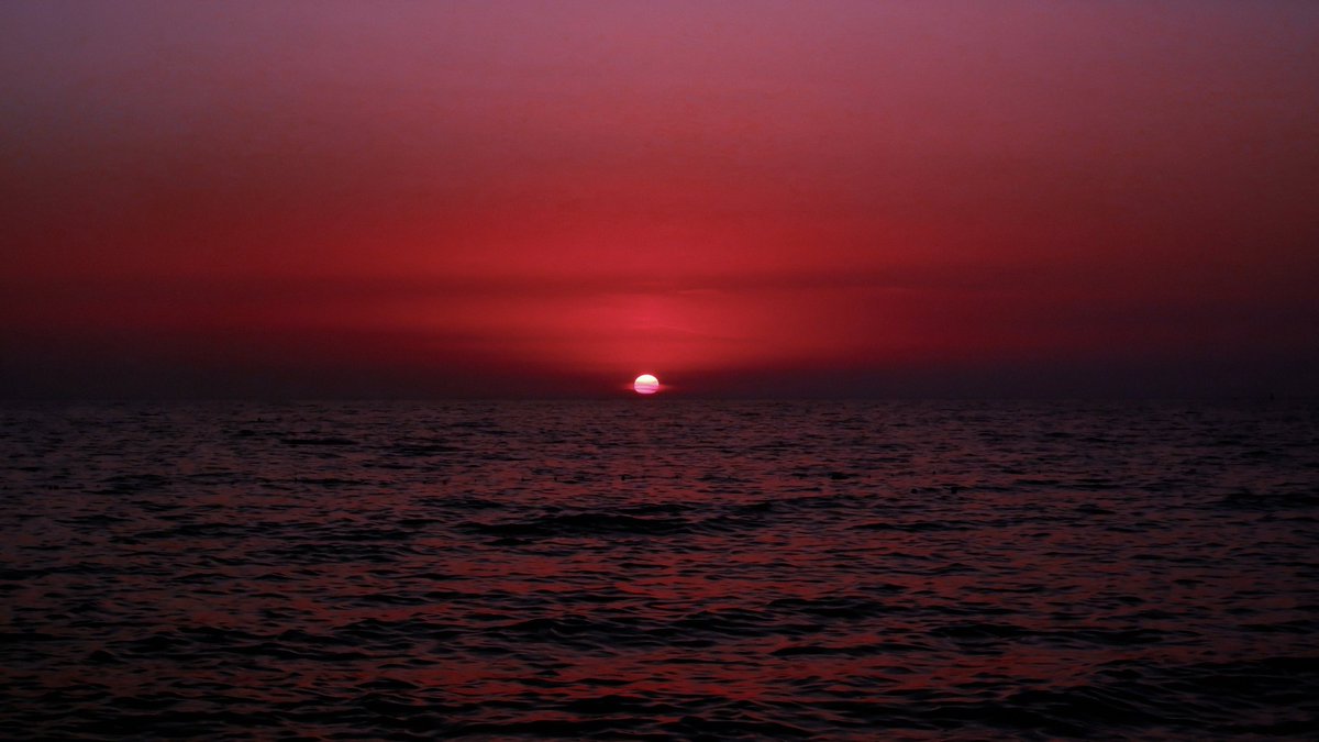 2025pics's tweet image. 