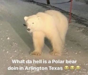 Evan (@evan80115294) on Twitter photo 