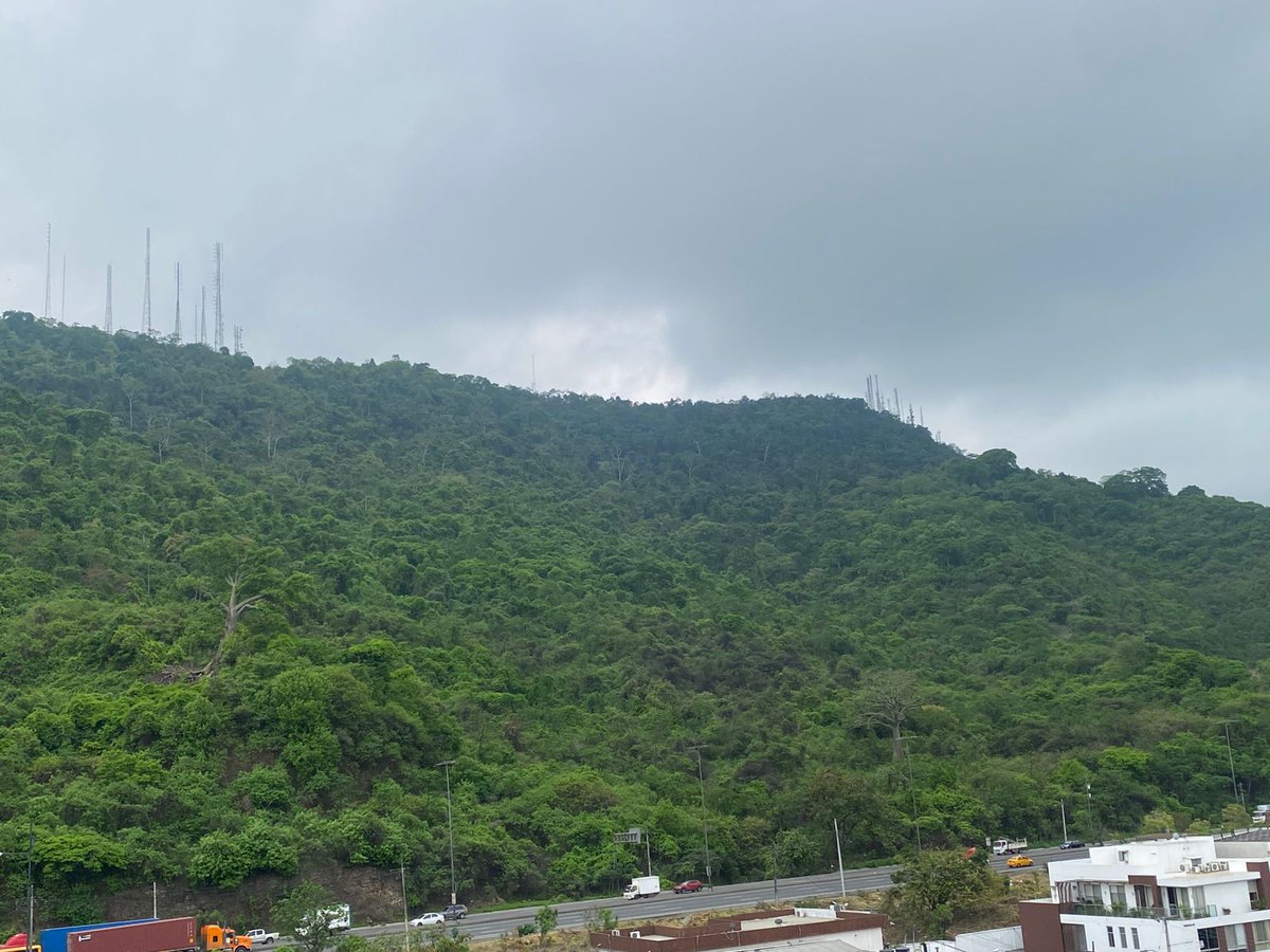 Juan Ycaza tweet media