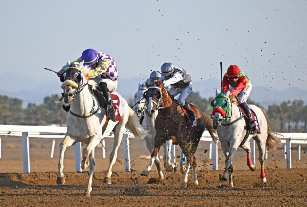 الاتحاد العُماني للفروسية يُنظّم السباق الـ14 للموسم 2026/2025 بمضمار الرحبة بـ #بركاء، بمشاركة عدد من الخيول العربية الأصيلة والمهجنة في 8 أشواط.