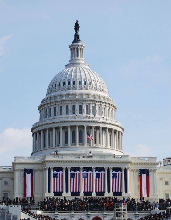 Bull Theory tweet media