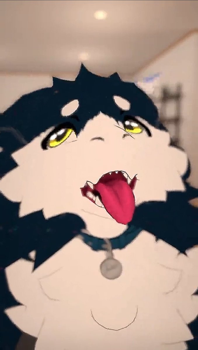 hyperporp tweet media