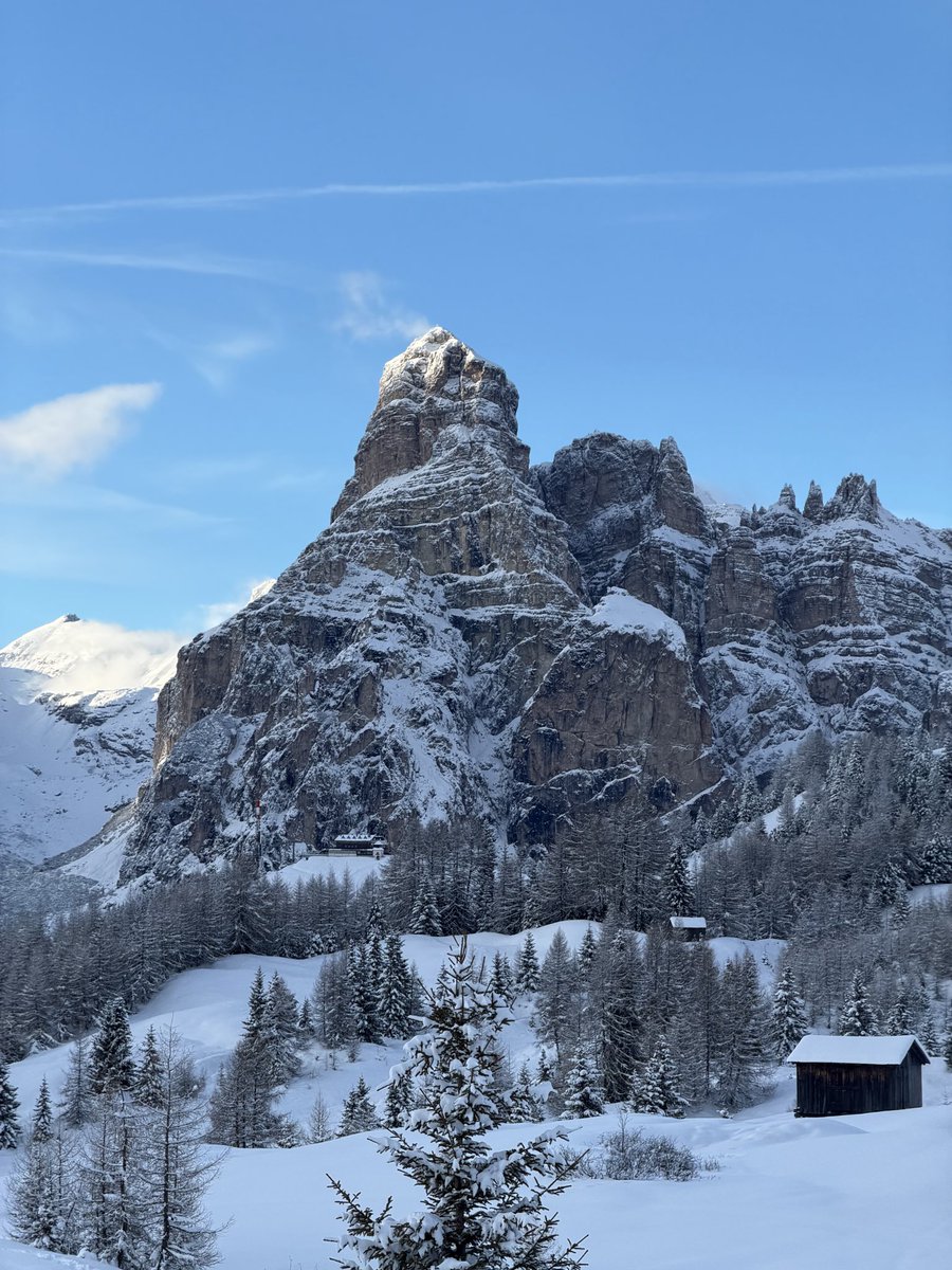 matt lorelli tweet media