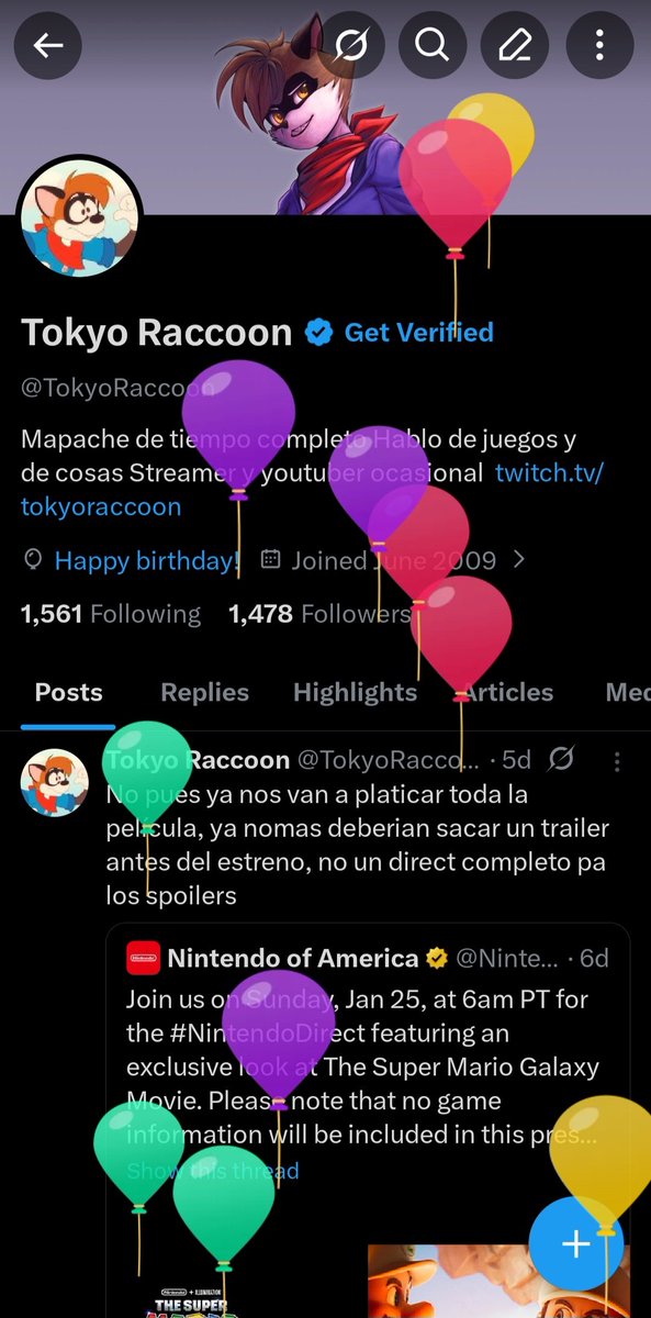 Tokyo Raccoon tweet media