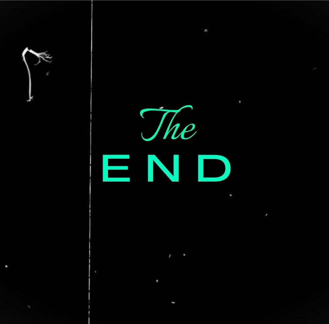 GOAT Customs tweet media