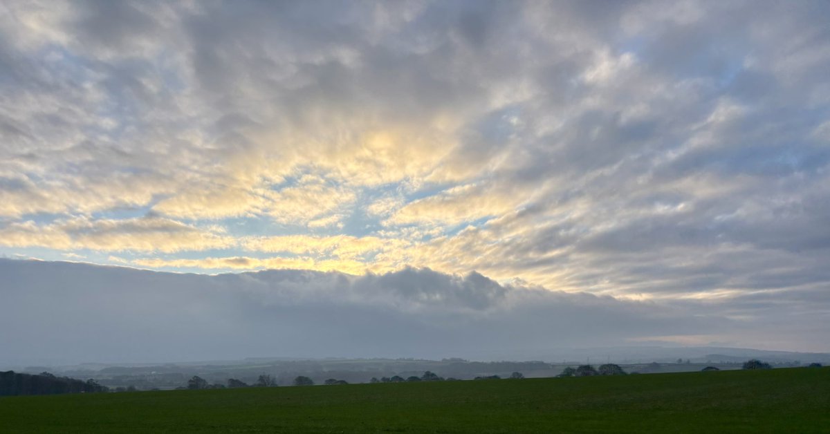 Nancy Sexton tweet media