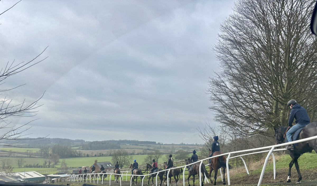 Nancy Sexton tweet media