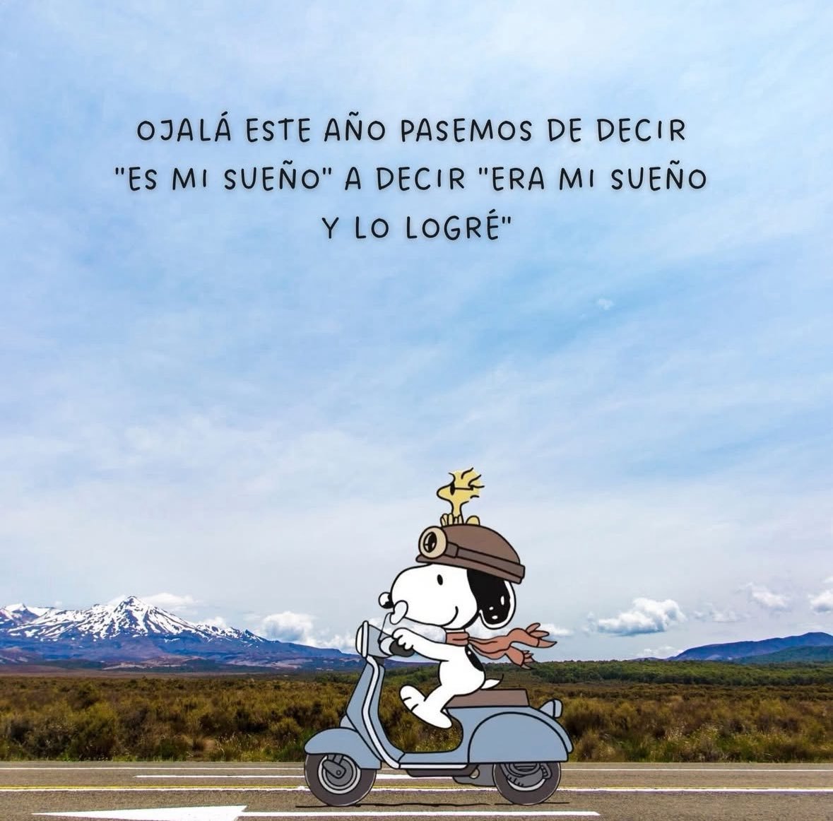 Acción Literaria. (@literariaaccion) on Twitter photo 