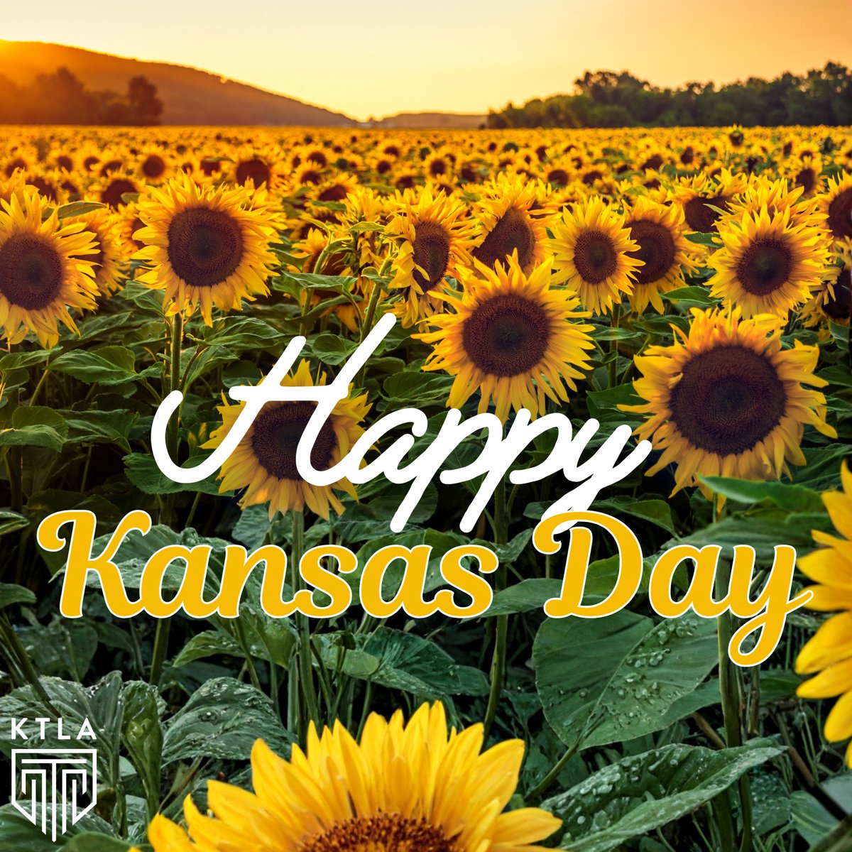 Justice4Kansas's tweet photo. Today we celebrate Kansas Day &amp; the proud history, strong communities, &amp; resilient spirit of the Sunflower State! From wide-open skies to hardworking Kansans, there’s so much to love about the place we call home.
Join in celebrating Kansas- its people, its history, &amp; its future. https://t.co/C2S5cX05aI