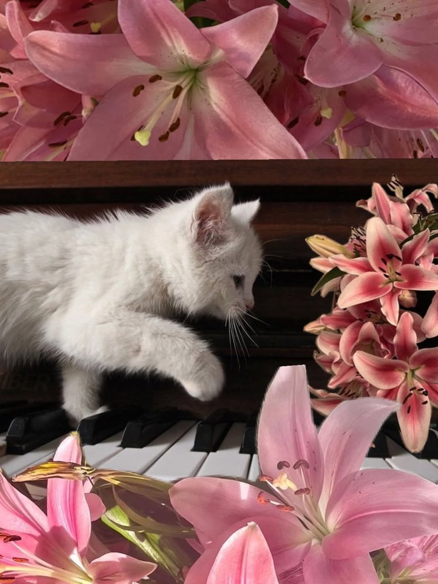 بحر 🌊 (@butterflless) on Twitter photo 