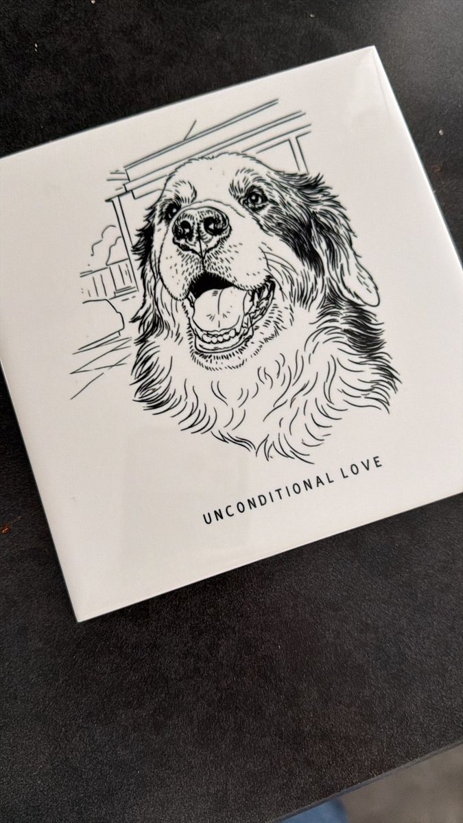 Barbara Babsbloemenhuis tweet media