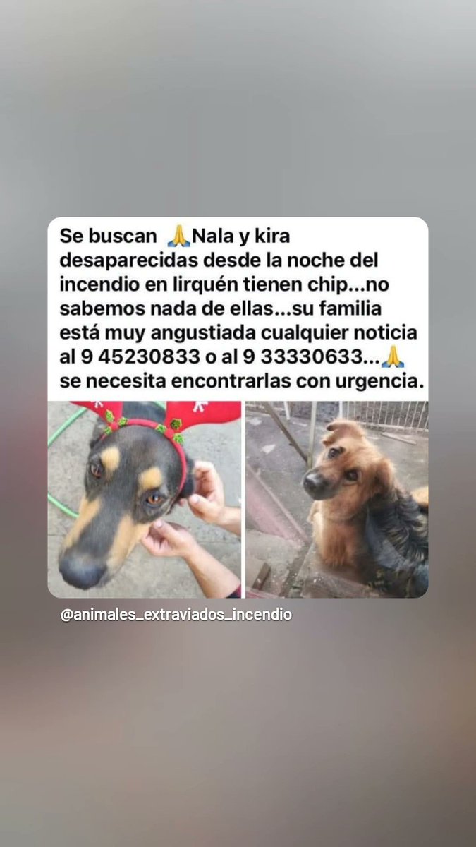 Patty 💕 tweet media