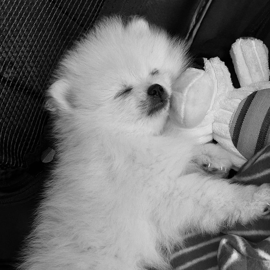 с любимыми не расставайтесь.