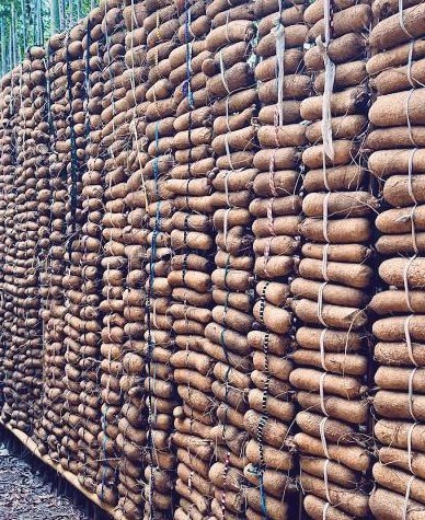 IGBO History & Facts tweet media