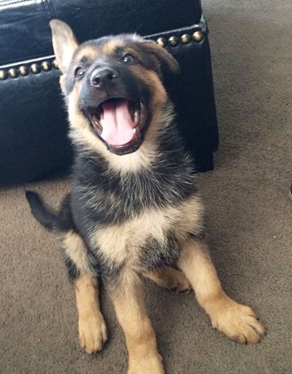 selin 🪷 tweet media