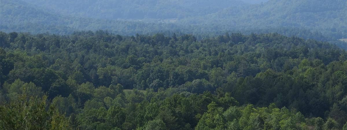 DHA eNews: U.S. hardwood assessments show "negligible risk" for illegal timber, buff.ly/Lt4MzP0

#Hardwoods #Hardwood #AHEC #IllegalTimber