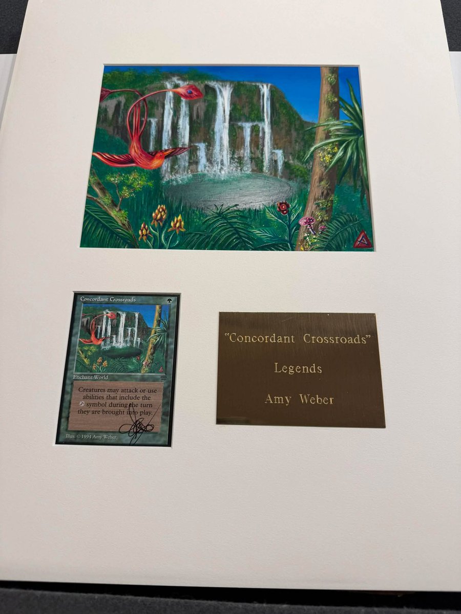 Jeremy ✈️ tweet media