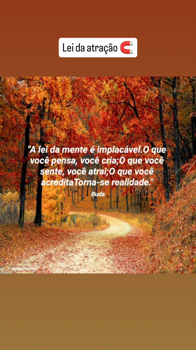 SymonCouto's tweet photo. https://t.co/ccCjG2mVRP
