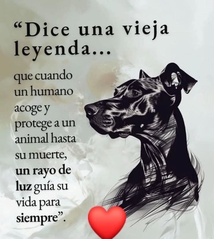 Sabueson's tweet image. 