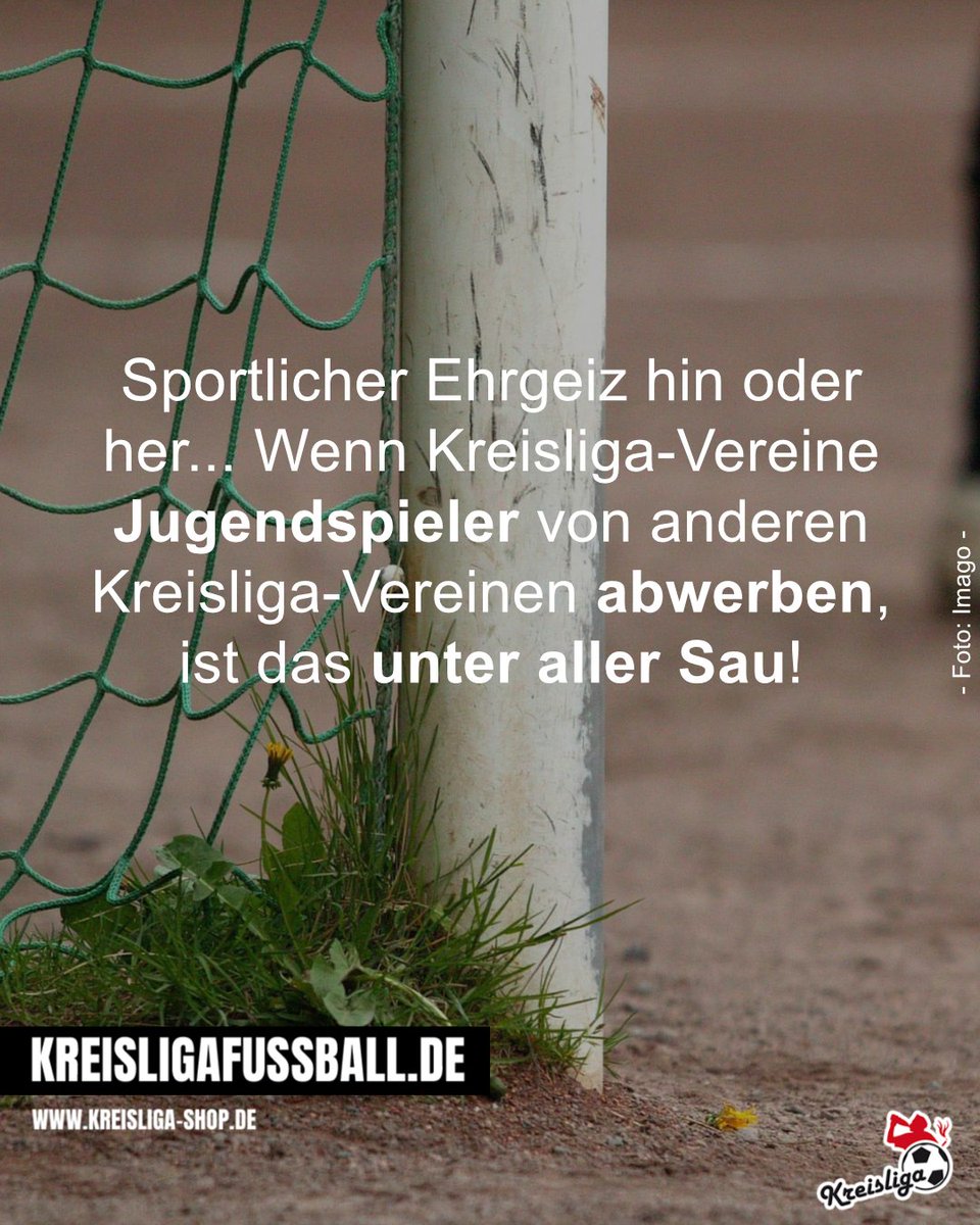 SchachNotizen tweet media