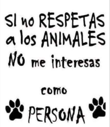 Sabueson (@sabueson) on Twitter photo 