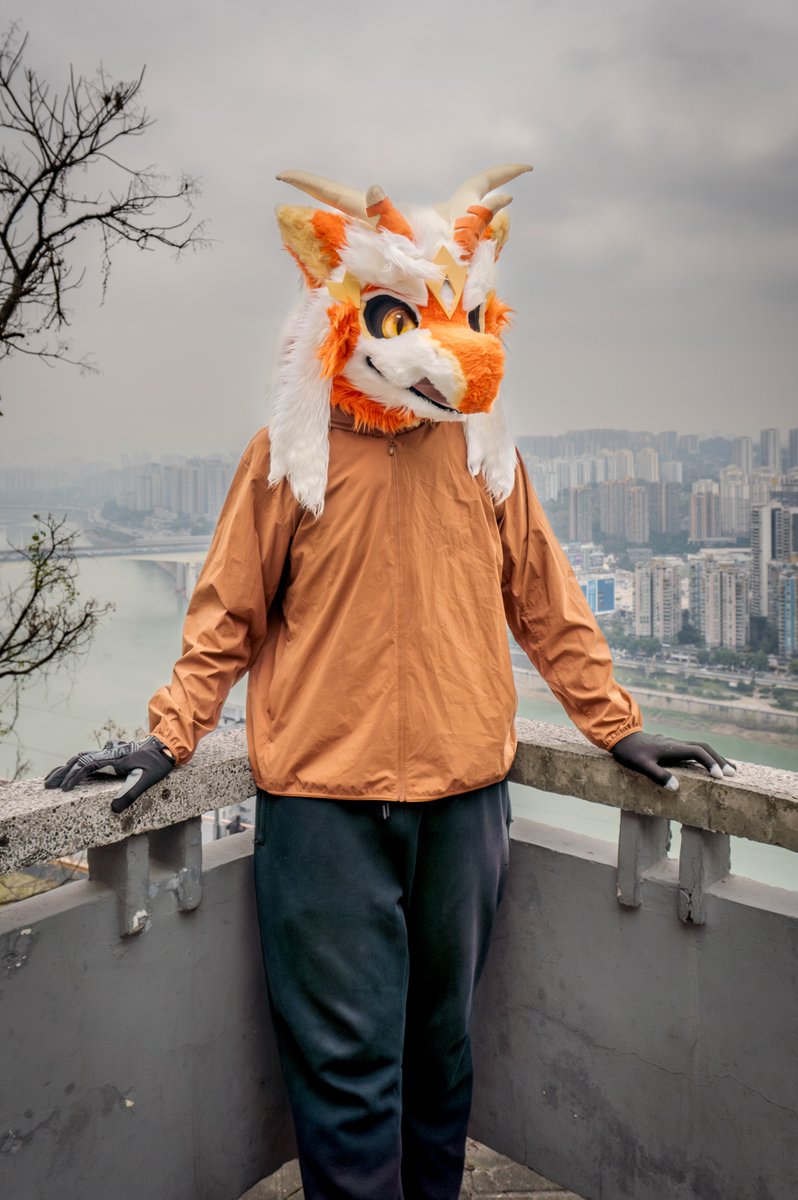 出现漂亮及以下的判定会减少生命值哦
#FursuitFriday