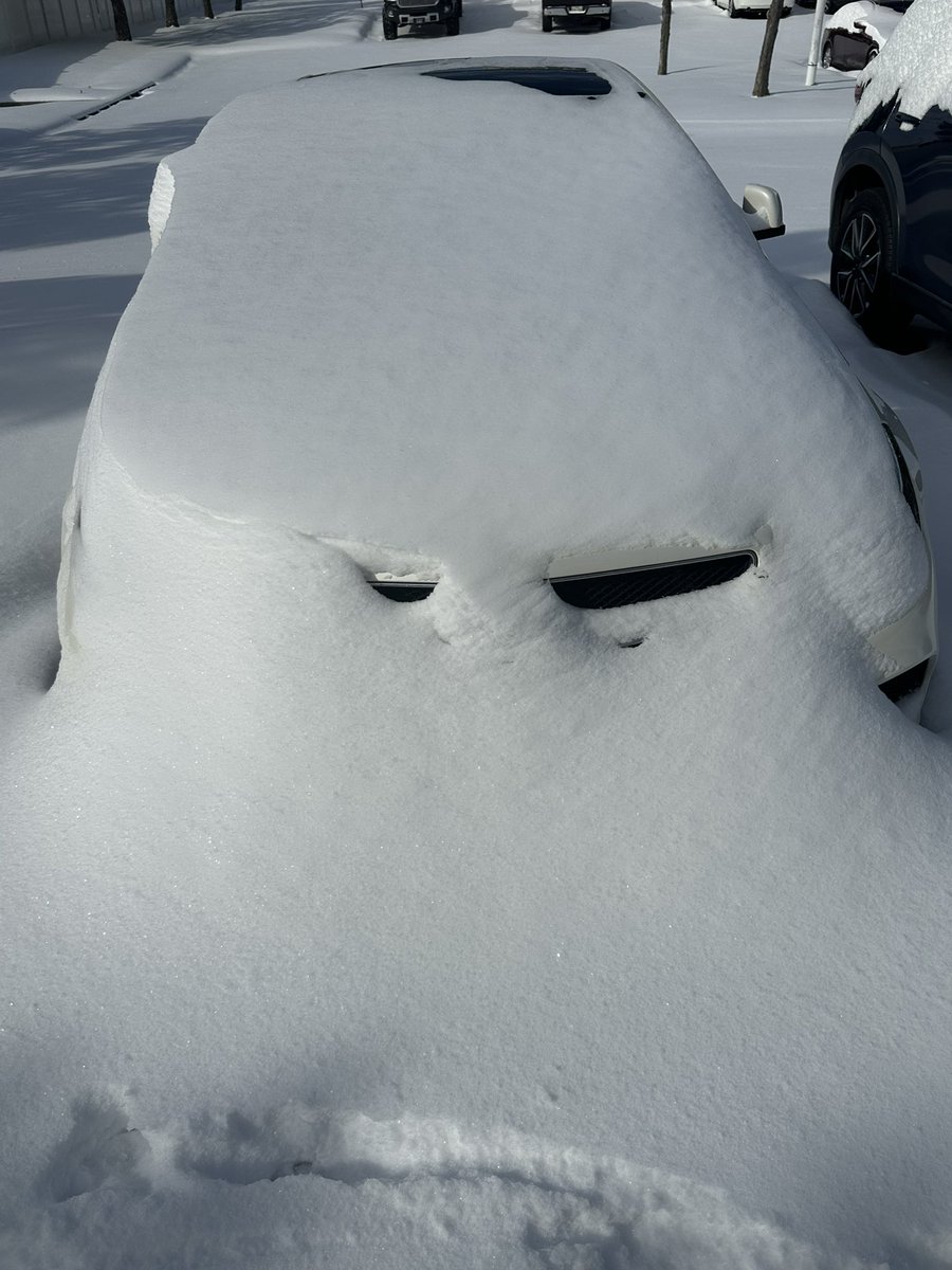 Brody Cowing tweet media