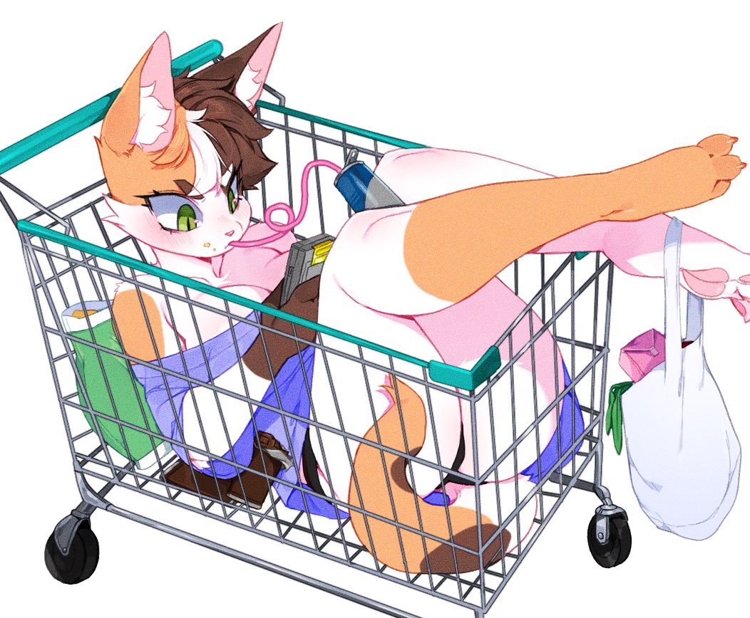 Puni🐾 tweet media