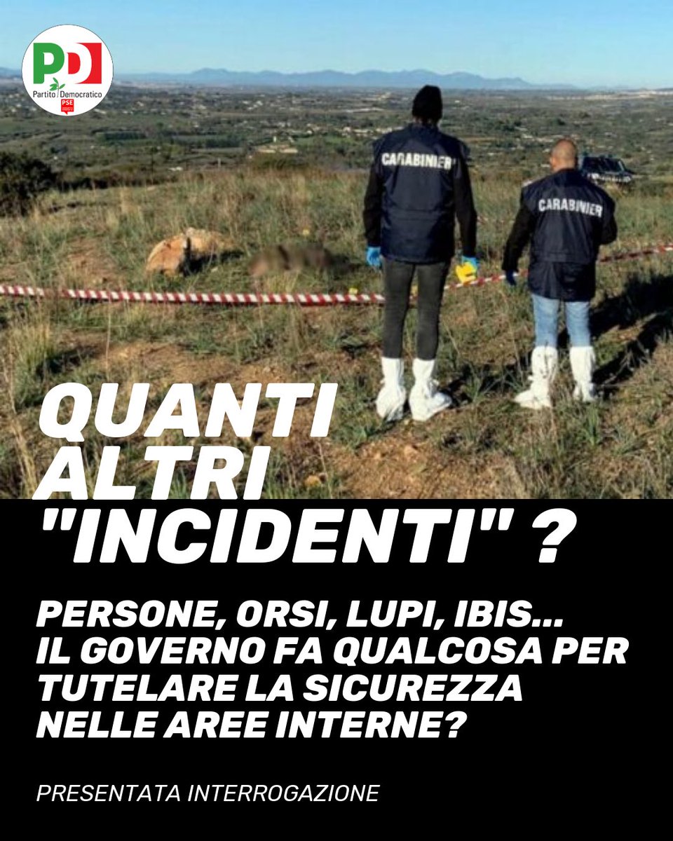 EleonoraEvi's tweet photo. “Chiediamo al governo cosa intende fare per la sicurezza delle aree interne boschive e montuose, alla luce dei recenti fatti di cronaca, da ultimo quello che ha visto la morte di tre cacciatori sui Monti Nebrodi o gli ultimi episodi di #bracconaggio e https://t.co/mxyUoKbECC