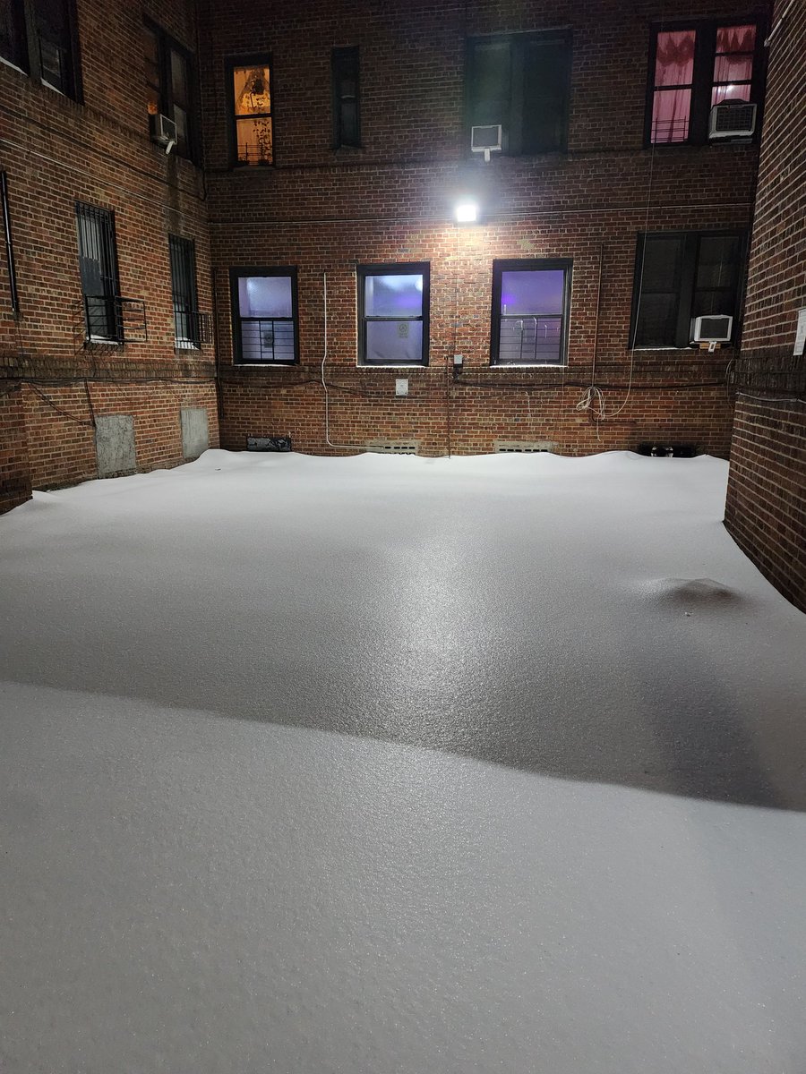 d0gtired's tweet image. Walking home last night at 1