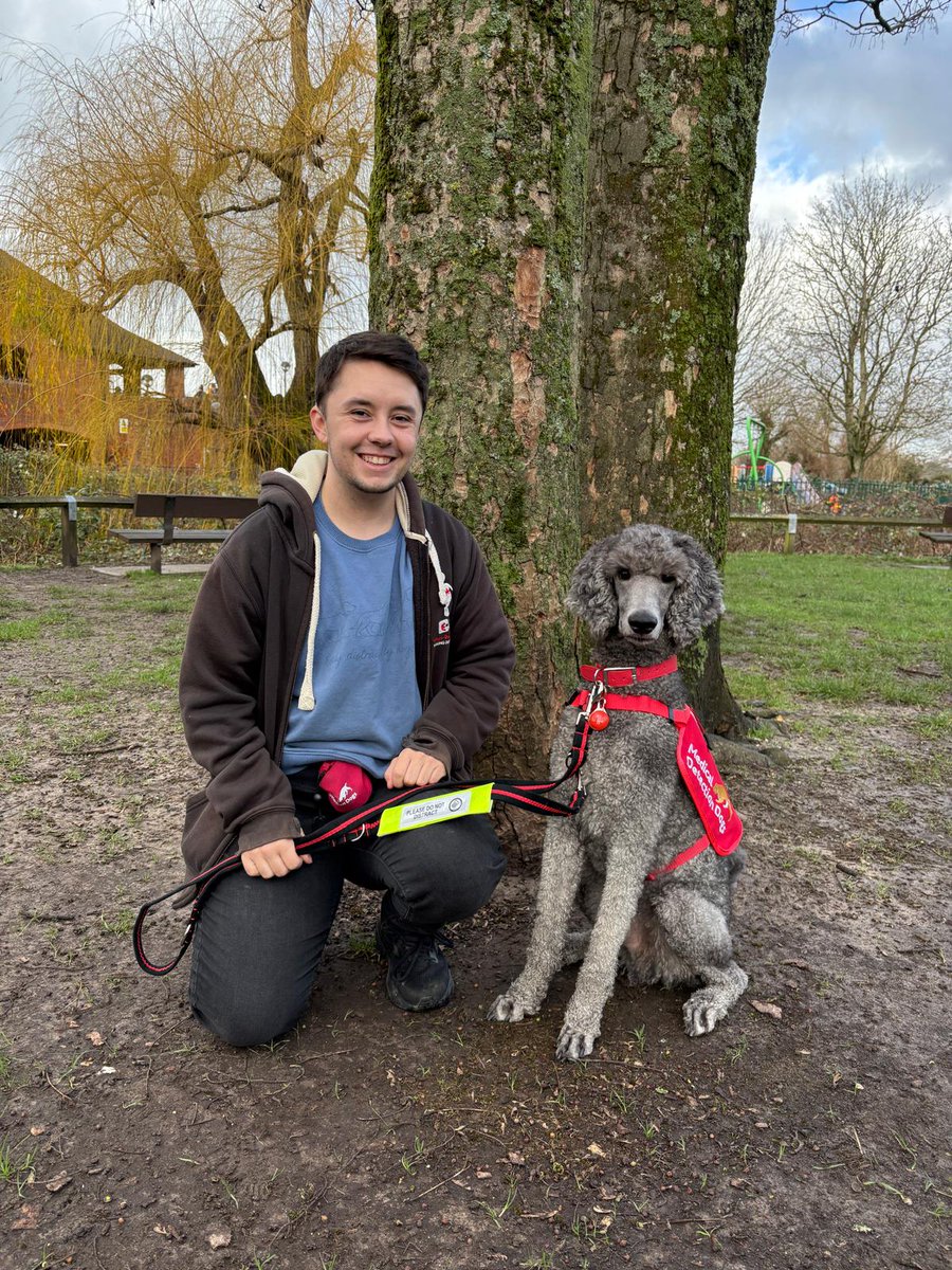 Medical Detection Dogs tweet media