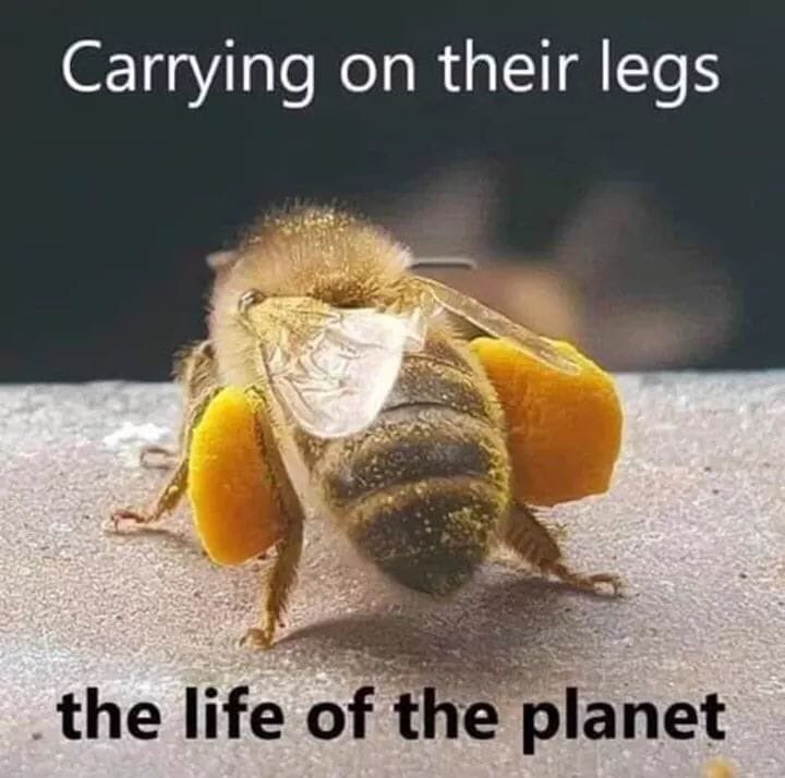 thehealthb0t's tweet photo. https://t.co/lh3NNpJzE7