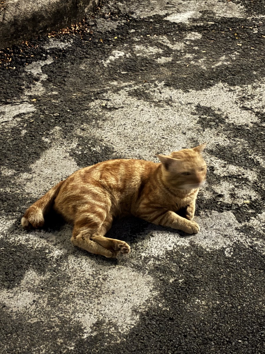 heeya (@d31404) on Twitter photo 