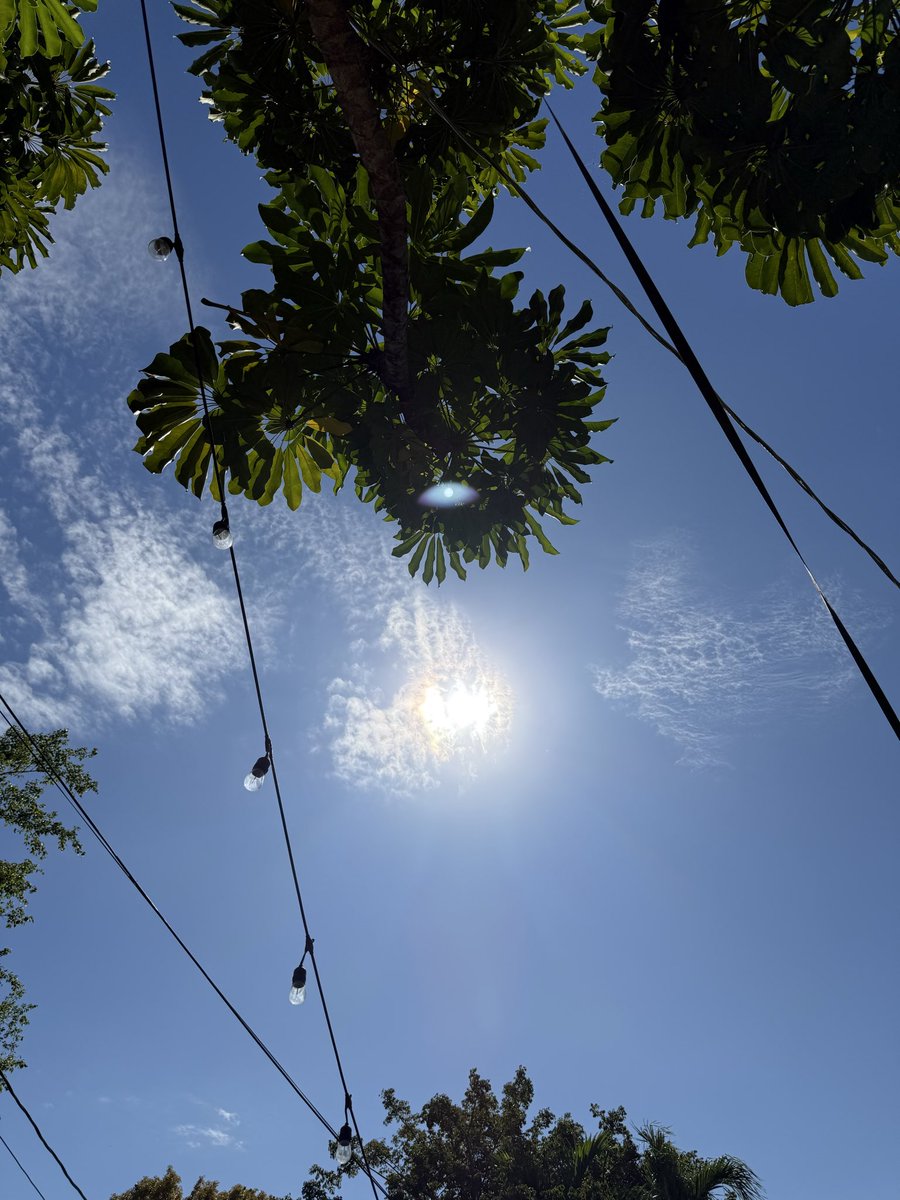 S O U P Y tweet media