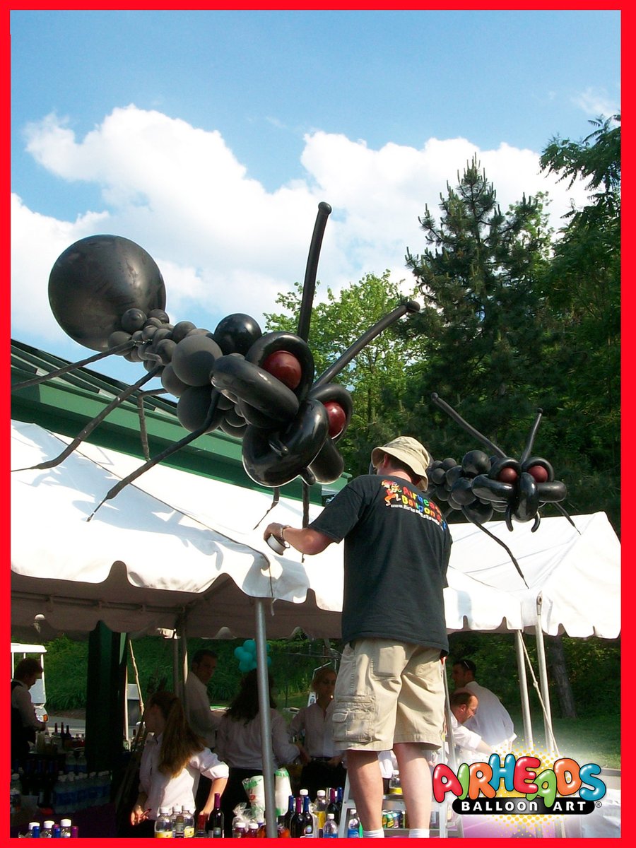 AirheadsBalloon's tweet photo. Throwback to the Pittsburgh Zoo — giant ant balloon sculptures, wind, sun, and a ladder.
Some installs are as much about problem-solving as creativity.

#Pittsburgh #EventInstall https://t.co/B3rMknuZa6
