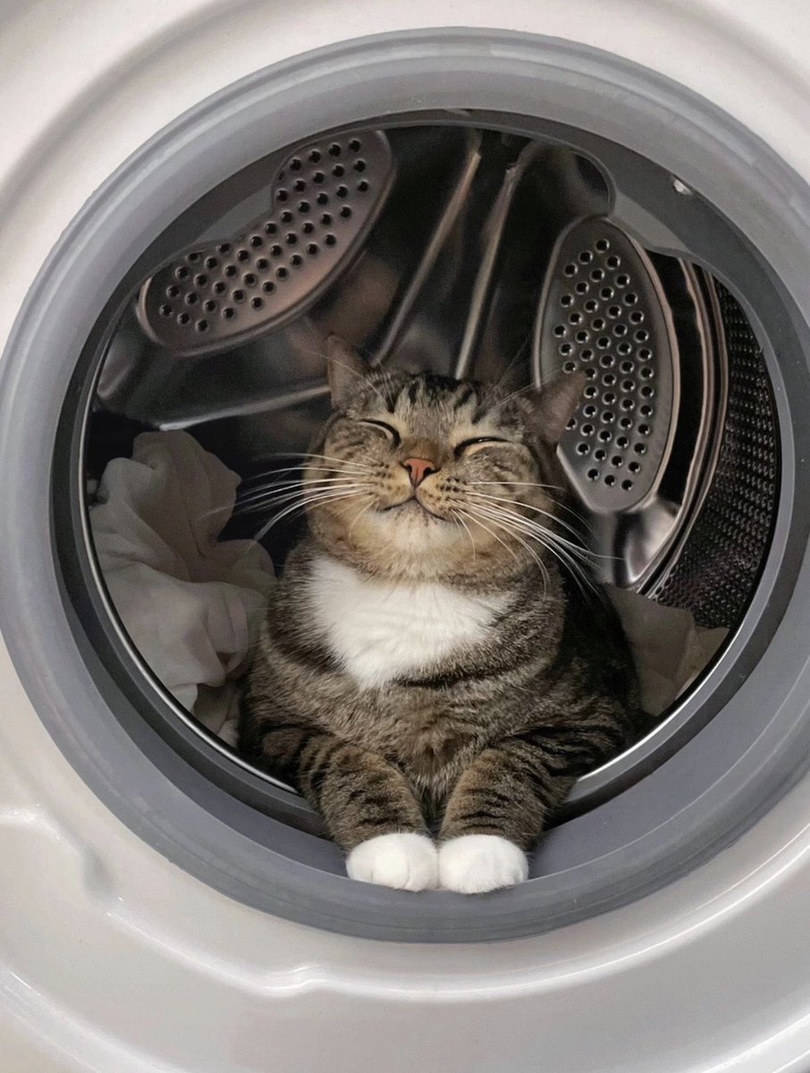 BetterWithCat's tweet photo. I'm happy when I clean it up https://t.co/M7ua4mZzmr