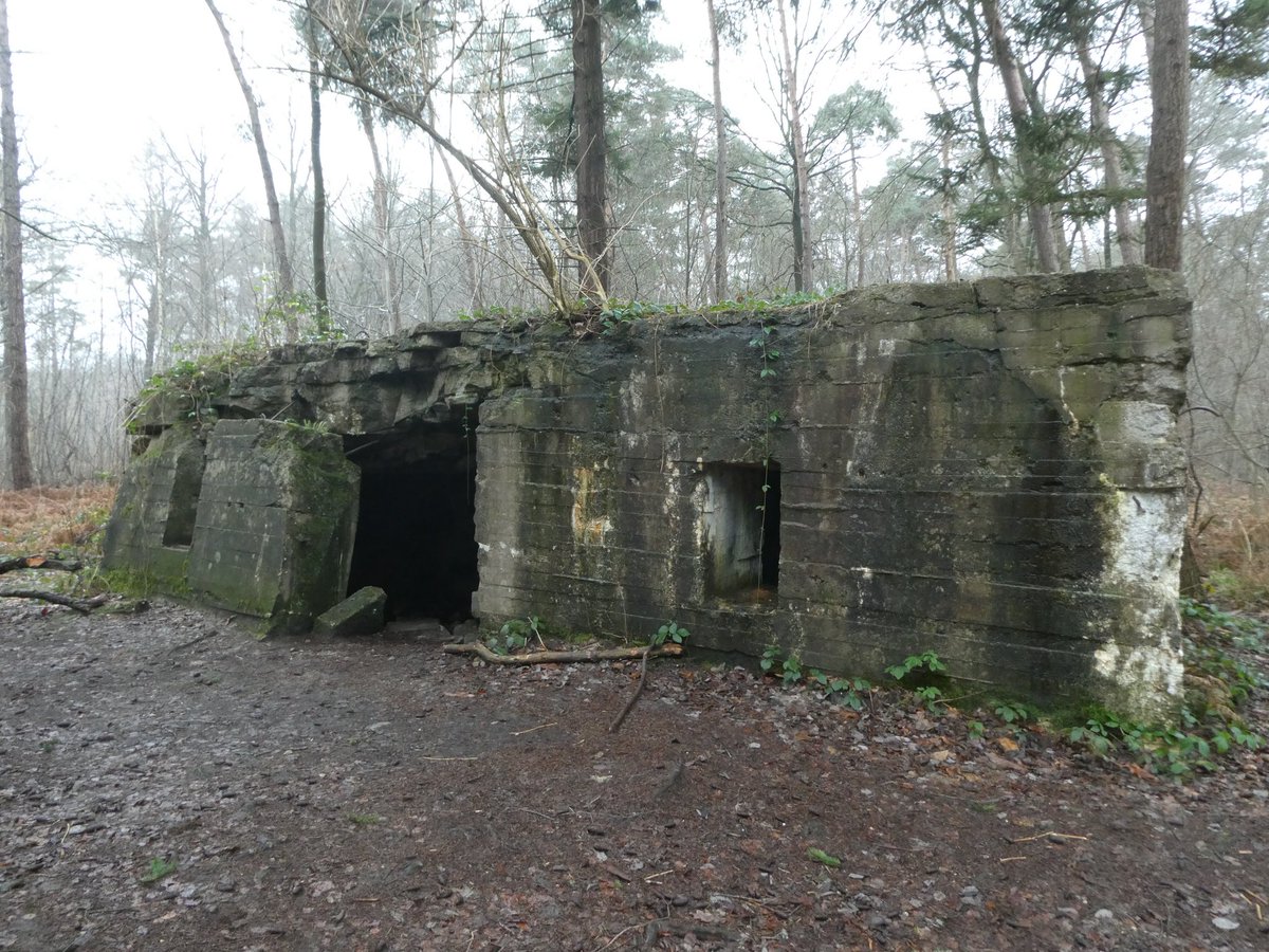 wtbattlefields's tweet image. A walk around Polygon Wood in the #FFW Ypres Salient.