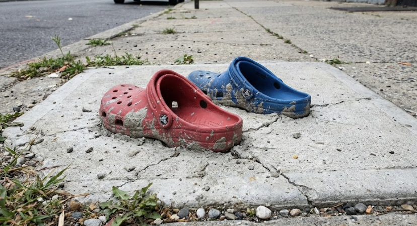 Who's going to carry the logs tweet media