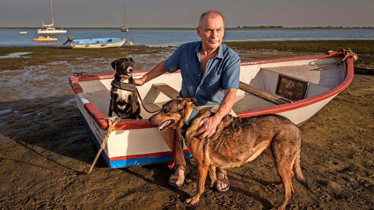 Arthur van Amerongen tweet media