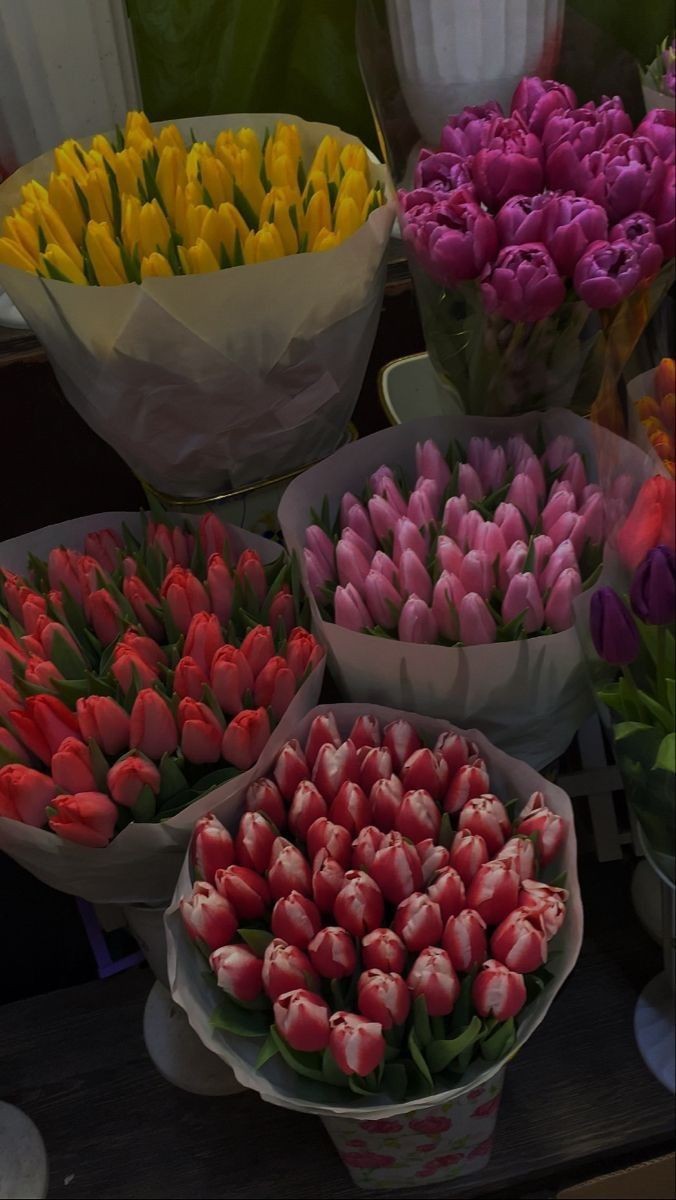 tutututututulip's tweet image. 