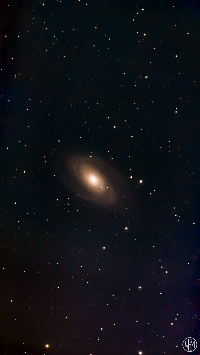 M81 (Bode’s Galaxy)
12 million light-years away
371x10s
Seestar S50
Bortle 8
Alt-Az Mode
41°N, 88°W
Captured 01/27/26
