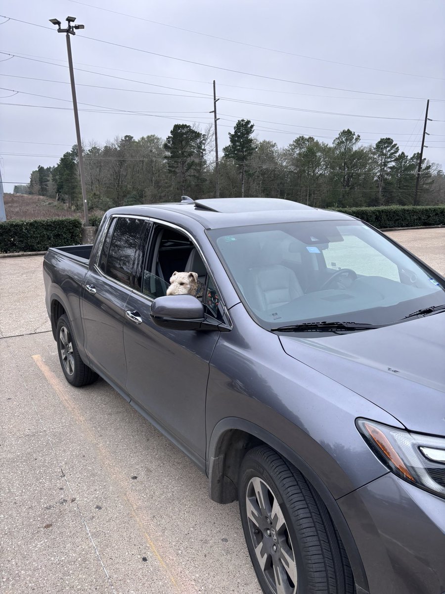 Chuck Jones tweet media