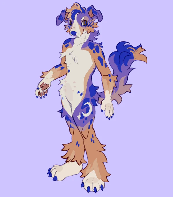 sleepytime aussie adopt! current offer is $75 on toyhouse