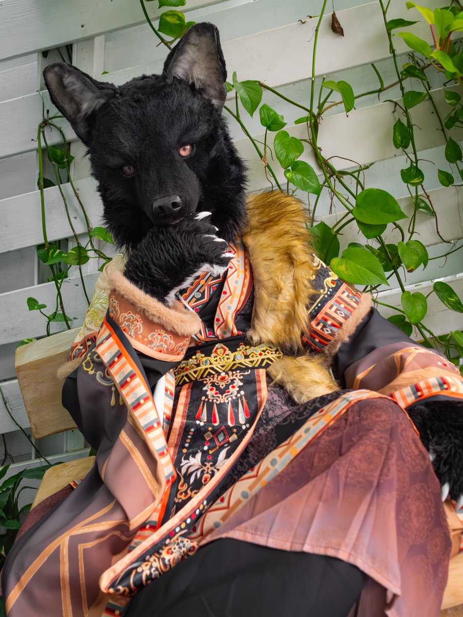 普天之下，莫非王土；率土之濱，莫非王臣。     

攝影：<a href="/r1o827/">里歐／Rio</a>
#FursuitFriday