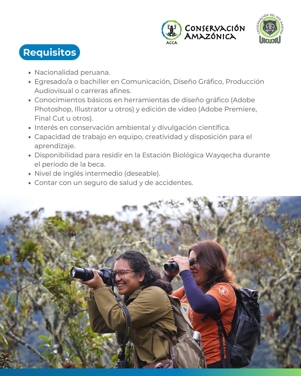 Conservación Amazónica - ACCA tweet media