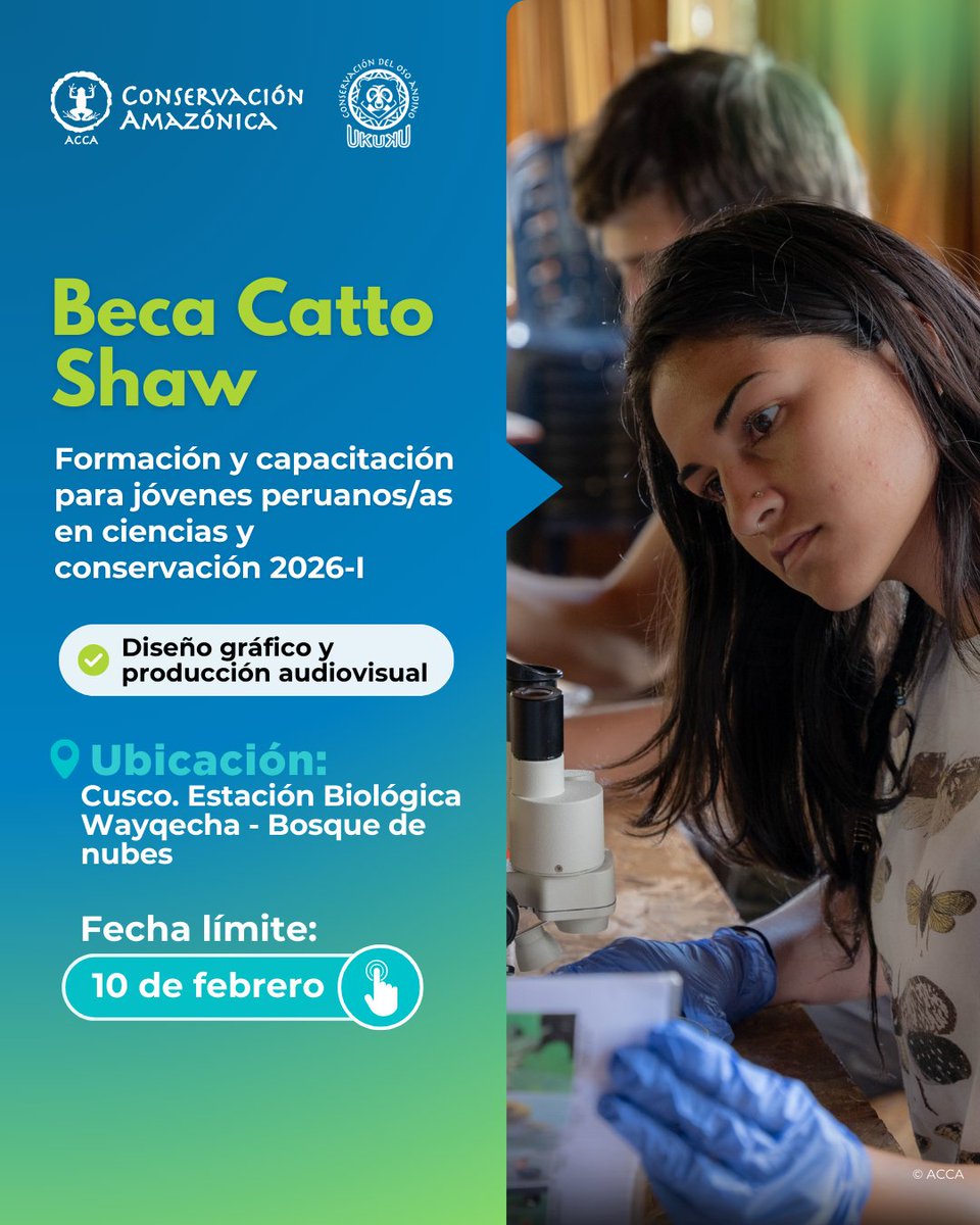 Conservación Amazónica - ACCA tweet media