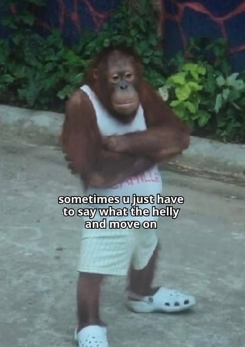 🦶🏻 tweet media