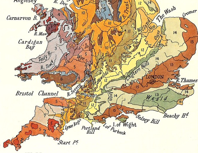 Sustainable Soils Alliance 🌱 tweet media