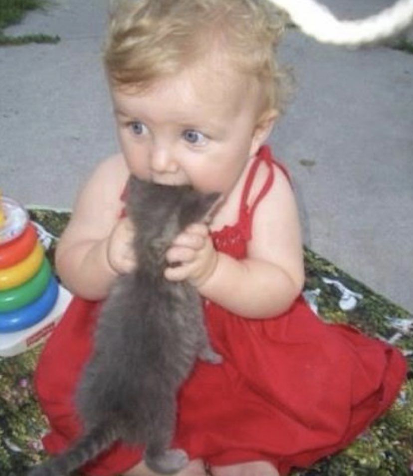 yolda karsılastıgım kedilere sundan yapmak istiyorum