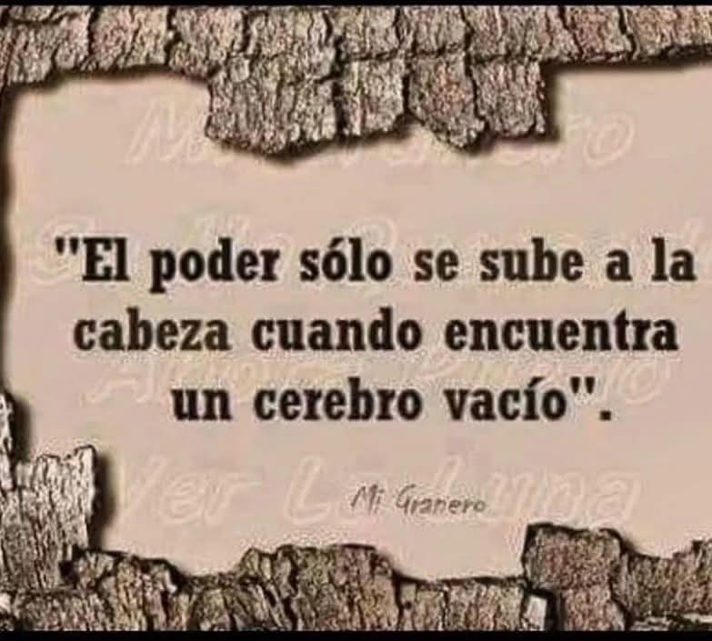 FELIX MANZUR JATTIN tweet media